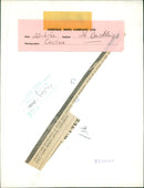 Poultry Goose - Vintage Photograph