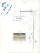 Barbara Castle, politician UK - Vintage Photograph