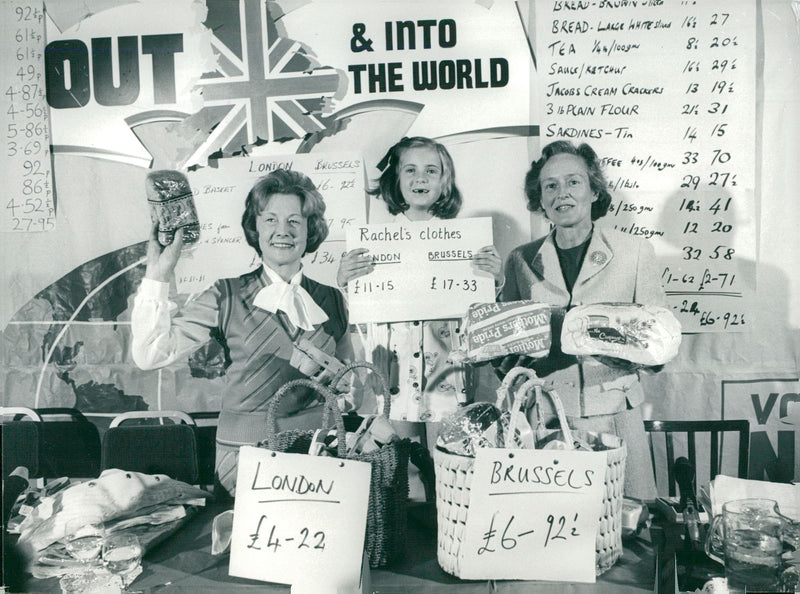 Barbara Castle, politician UK - Vintage Photograph