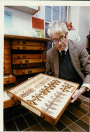 Oulton Broad - Vintage Photograph