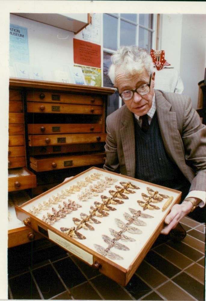 Oulton Broad - Vintage Photograph