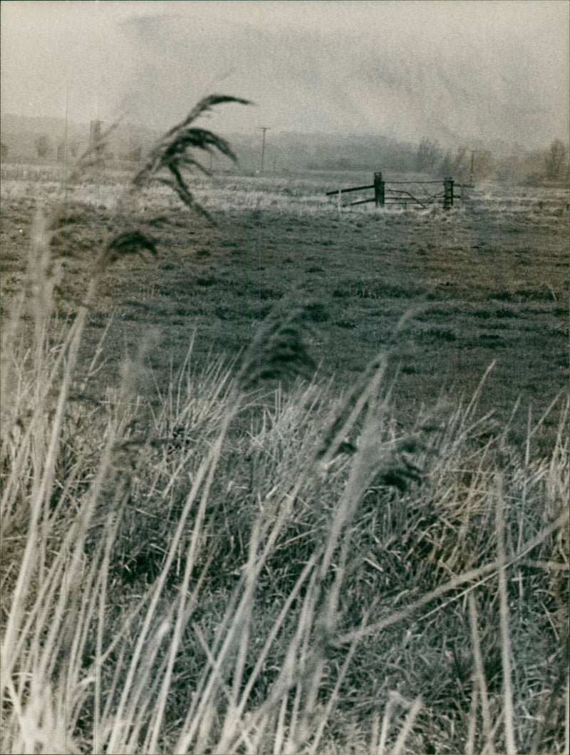 Oulton Broad - Vintage Photograph