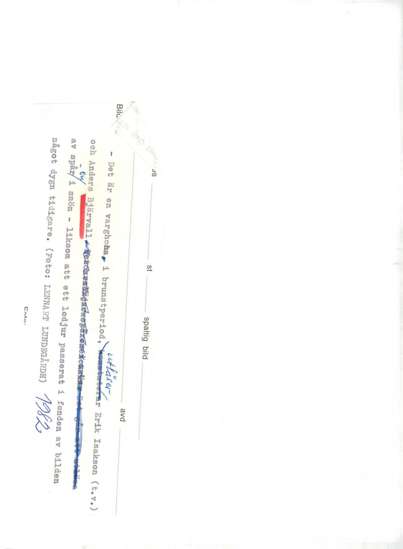 Anders Bjärvall, President of the Nature Conservation Association - Vintage Photograph