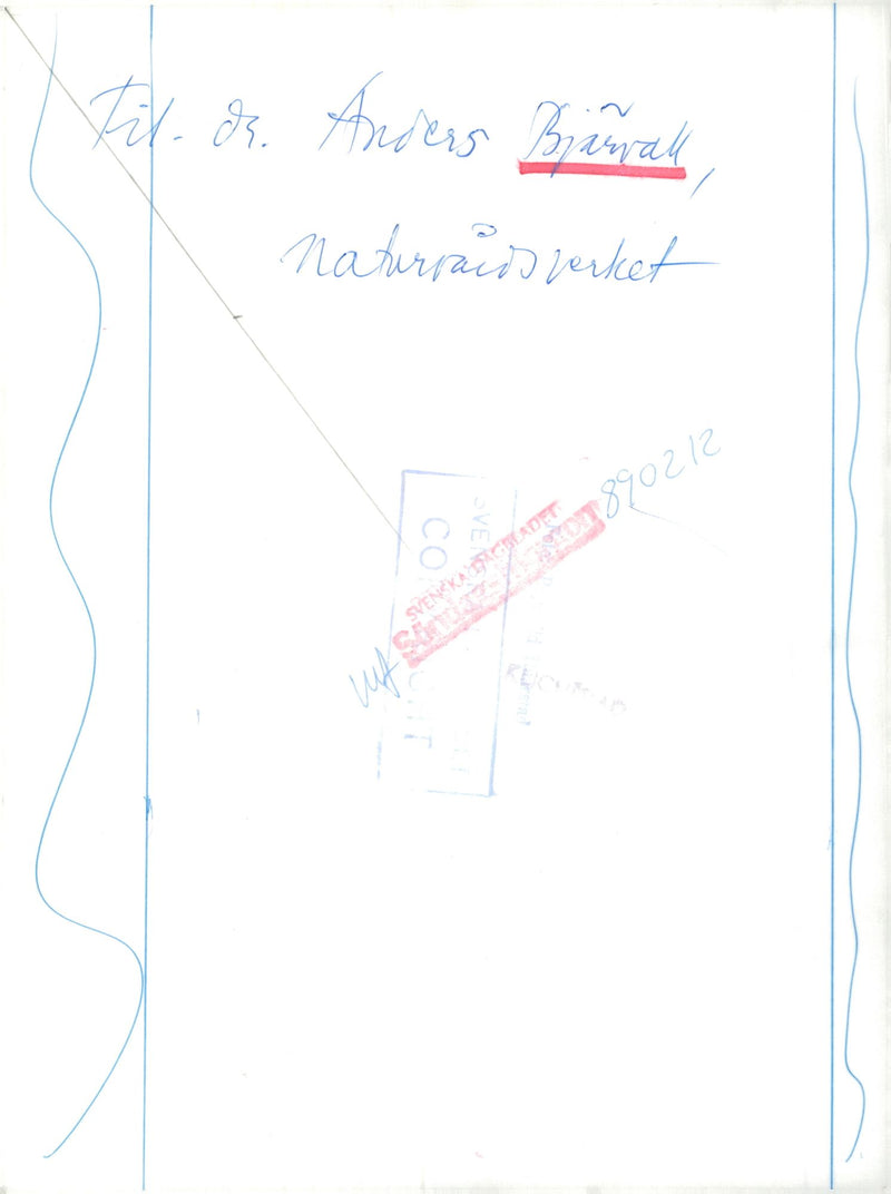 Anders BjÃ¤rvall, President of the Nature Conservation Association - Vintage Photograph