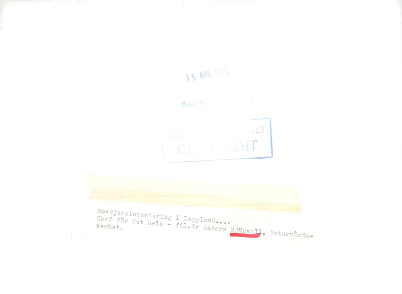 Anders Bjärvall, President of the Nature Conservation Association - Vintage Photograph