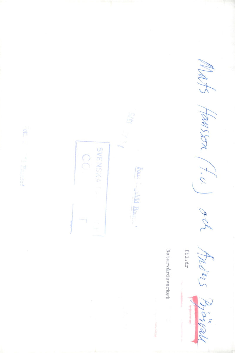 Anders BjÃ¤rvall, President of the Nature Conservation Association - Vintage Photograph