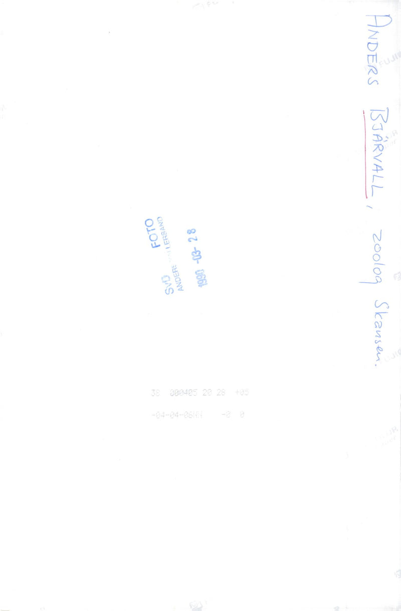 Anders BjÃ¤rvall, President of the Nature Conservation Association - Vintage Photograph