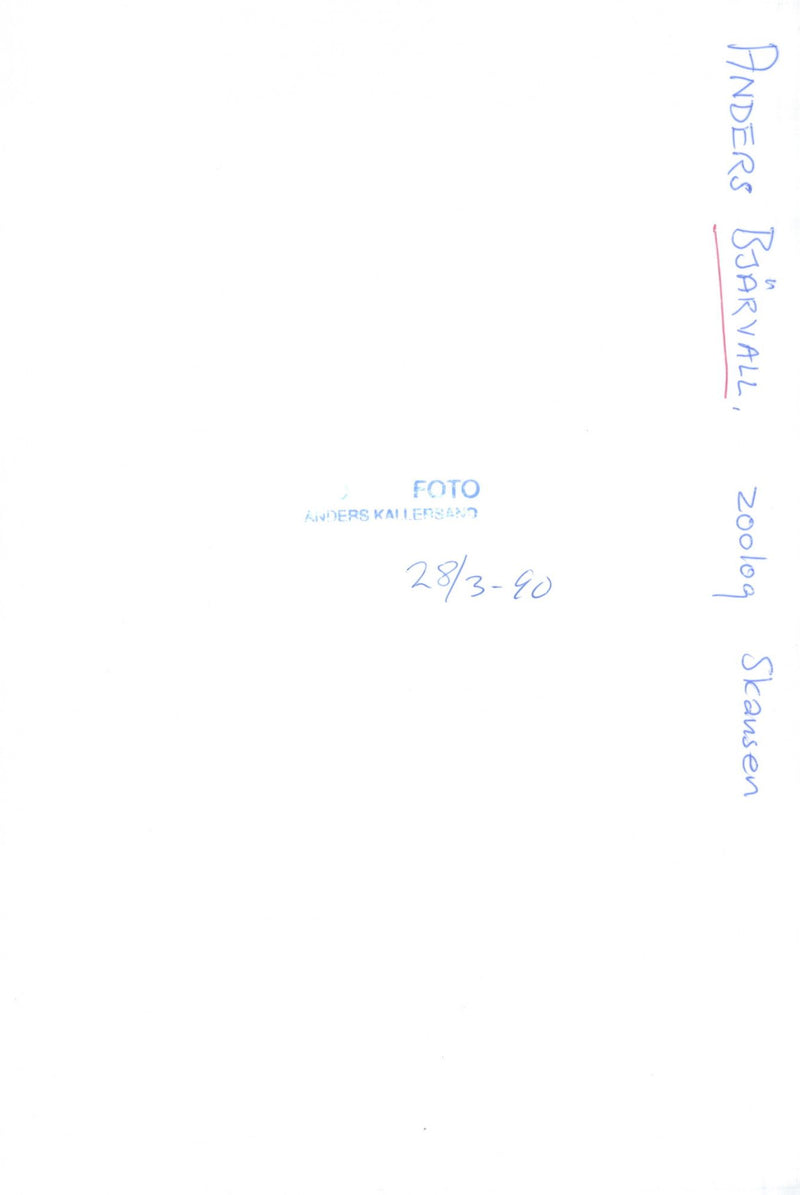 Anders Bjärvall, President of the Nature Conservation Association - Vintage Photograph