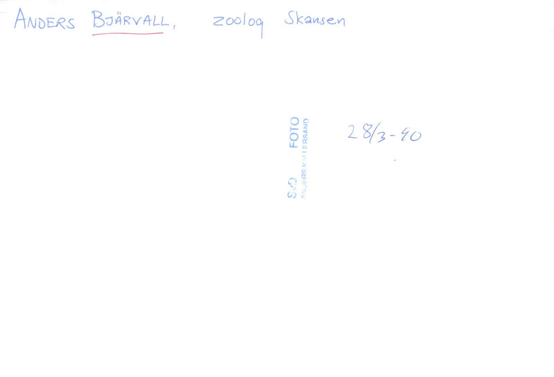 Anders Bjärvall, President of the Nature Conservation Association - Vintage Photograph