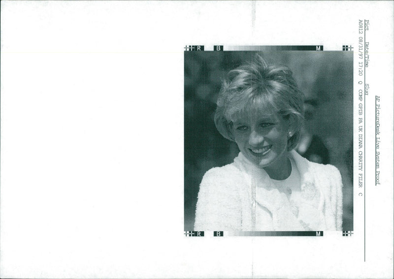 princess diana of wales. - Vintage Photograph