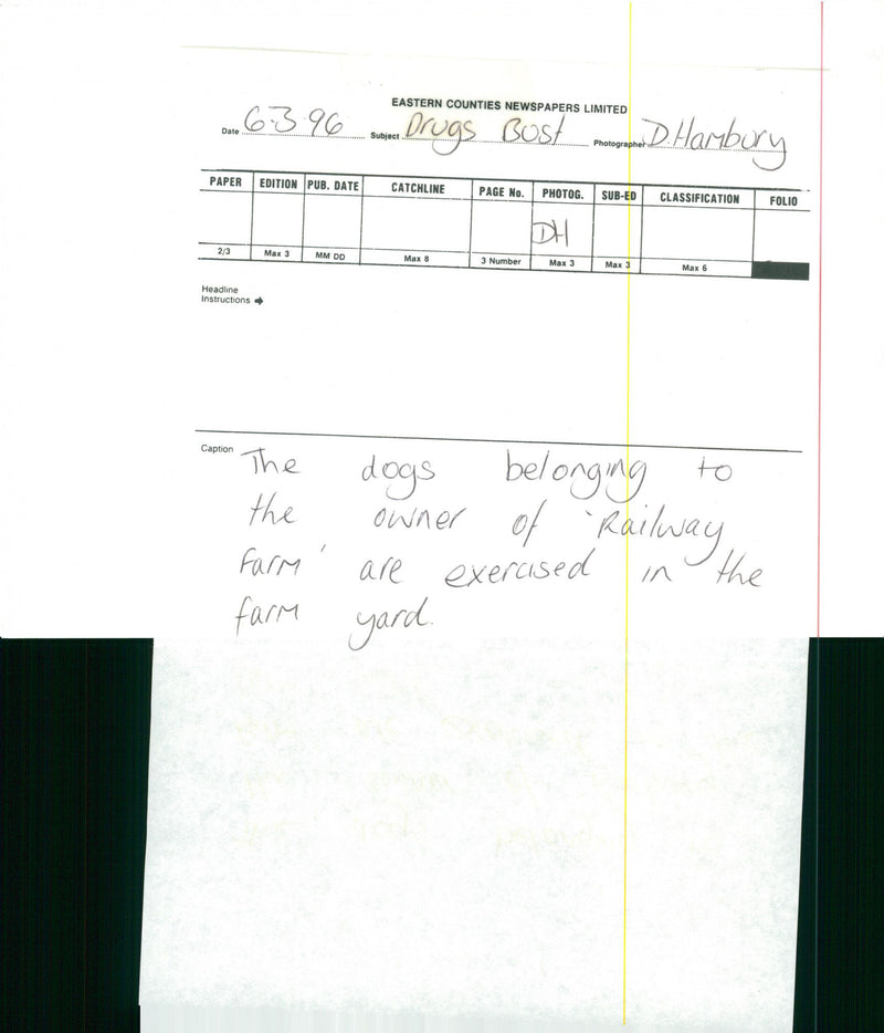 Newton Flotman. - Vintage Photograph