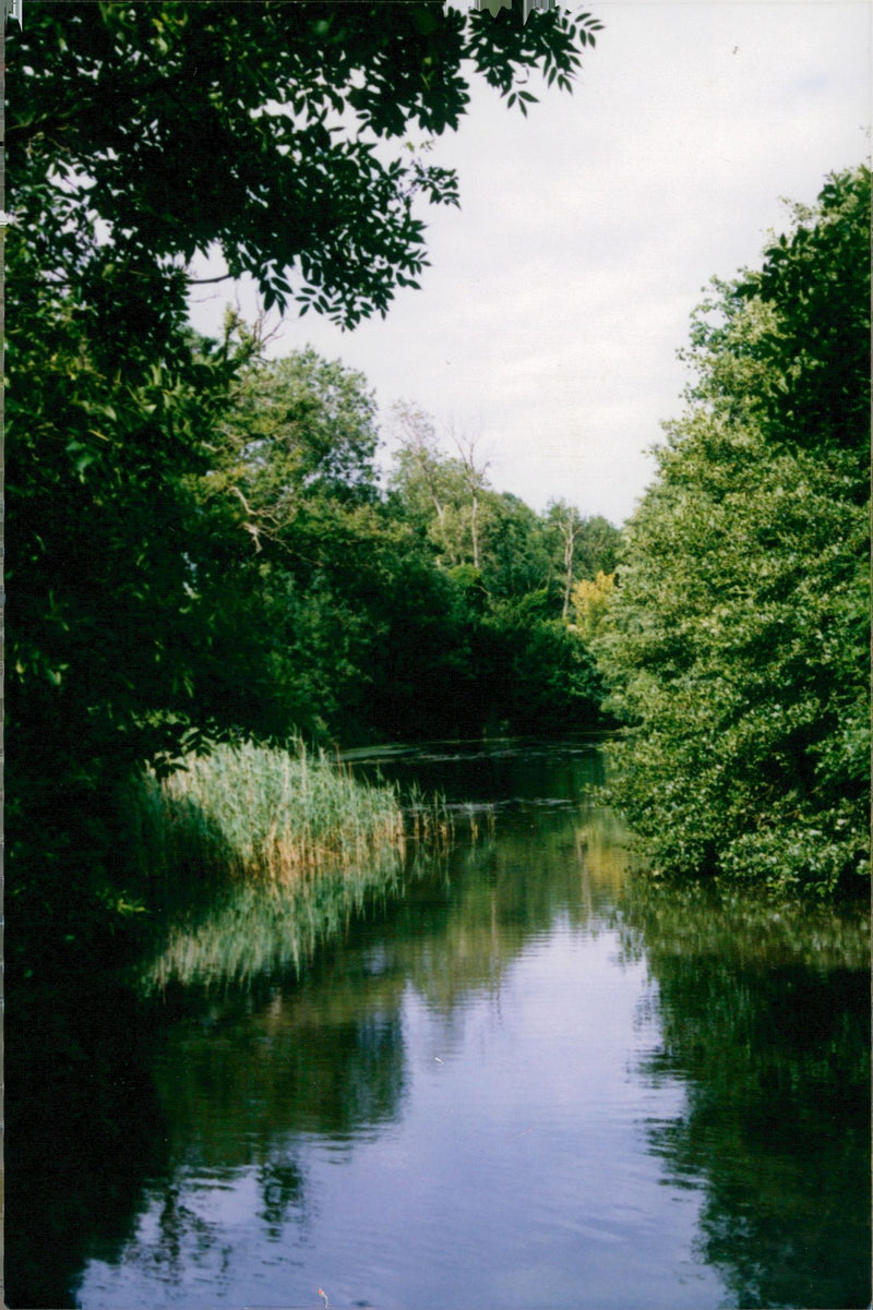 Oulton Hall Lake - Vintage Photograph