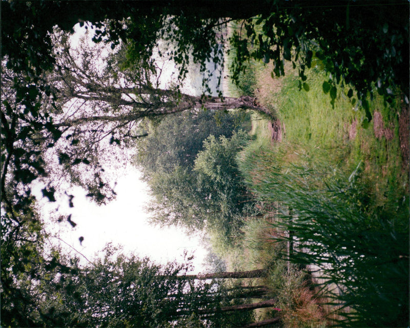 View of how hill. - Vintage Photograph