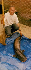 Giant Catfish - Vintage Photograph