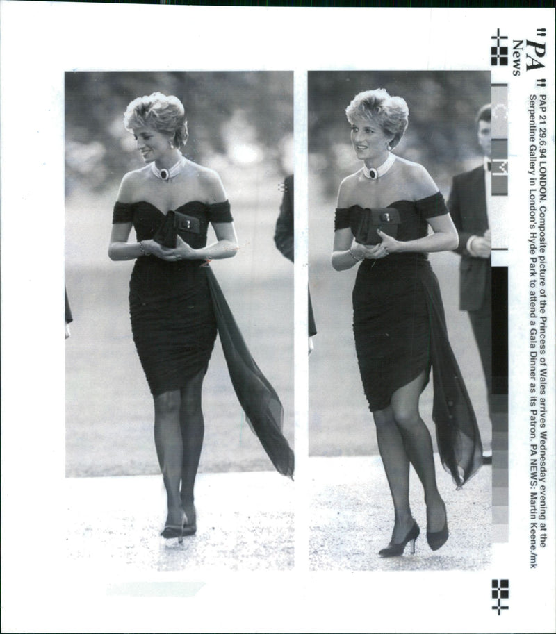 Princess Diana - Vintage Photograph