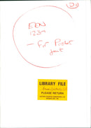 Princess Diana - Vintage Photograph