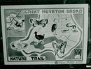 Great Hoveton Broad, Nature Trail. - Vintage Photograph