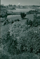 View of how hill. - Vintage Photograph