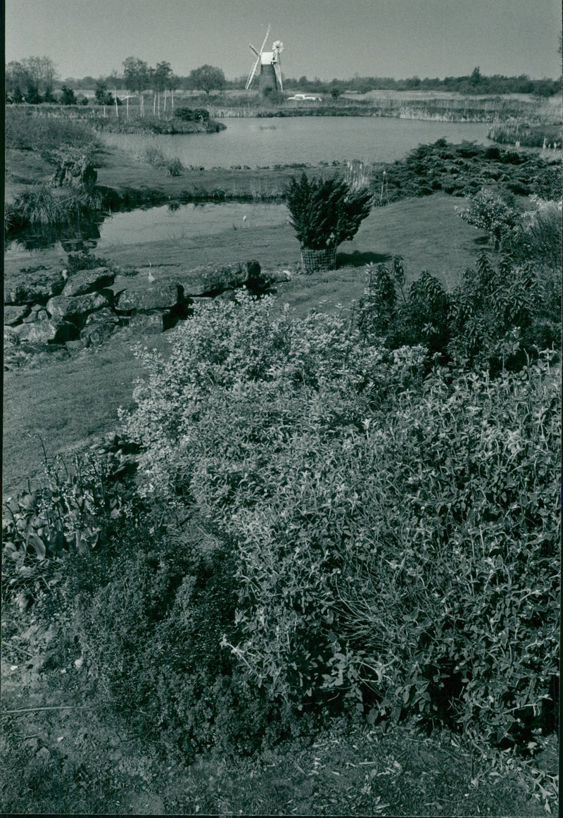 View of how hill. - Vintage Photograph