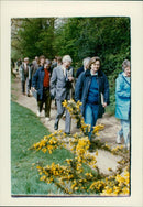English nature council at how hill. - Vintage Photograph