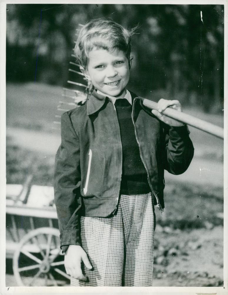 Crown Prince Charles Gustav of Sweden - Vintage Photograph