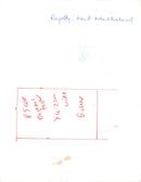 Katharine, Duchess of Kent receiving a bouquet of flowers - Vintage Photograph