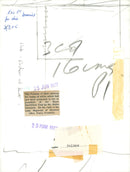 Duchess of Kent at the Royal Smithfield Club - Vintage Photograph