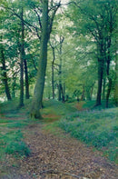 Ringland - Vintage Photograph