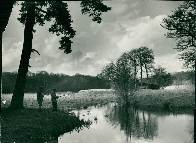 Scoulton - Vintage Photograph