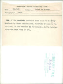 Scroby Sands - Vintage Photograph