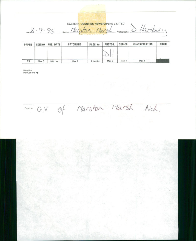 Marston Marsh - Vintage Photograph