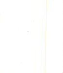 Thrigby Hall Tiger - Vintage Photograph