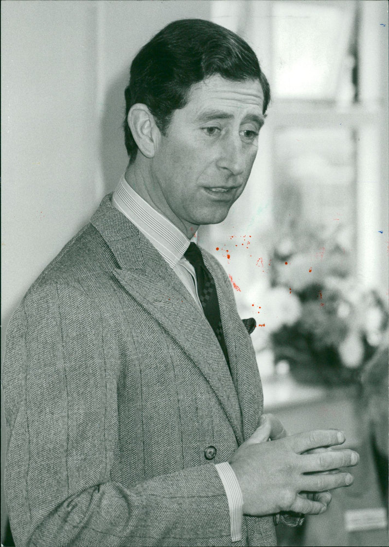 Prince Charles of Wales - Vintage Photograph