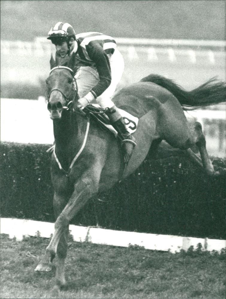 Prince Charles of Wales in the saddle - Vintage Photograph