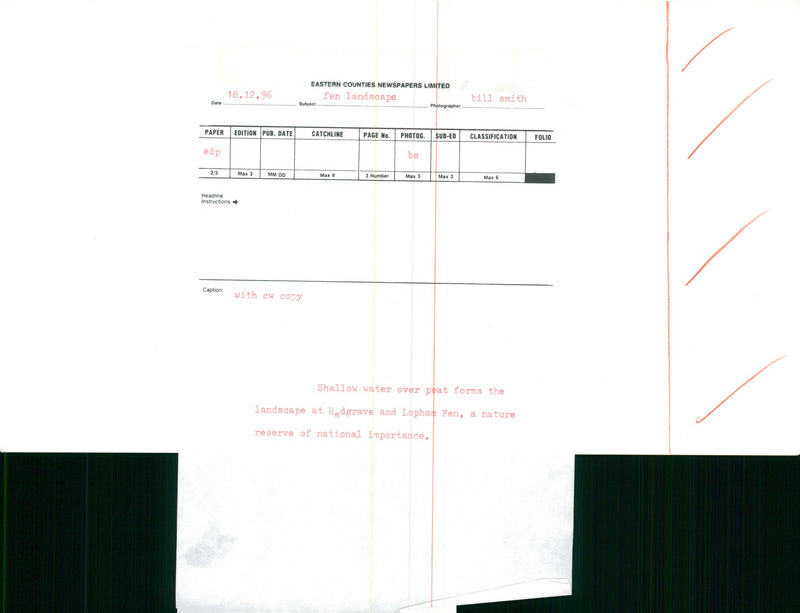 Fen landscape - Vintage Photograph