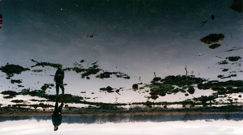 Fen landscape - Vintage Photograph