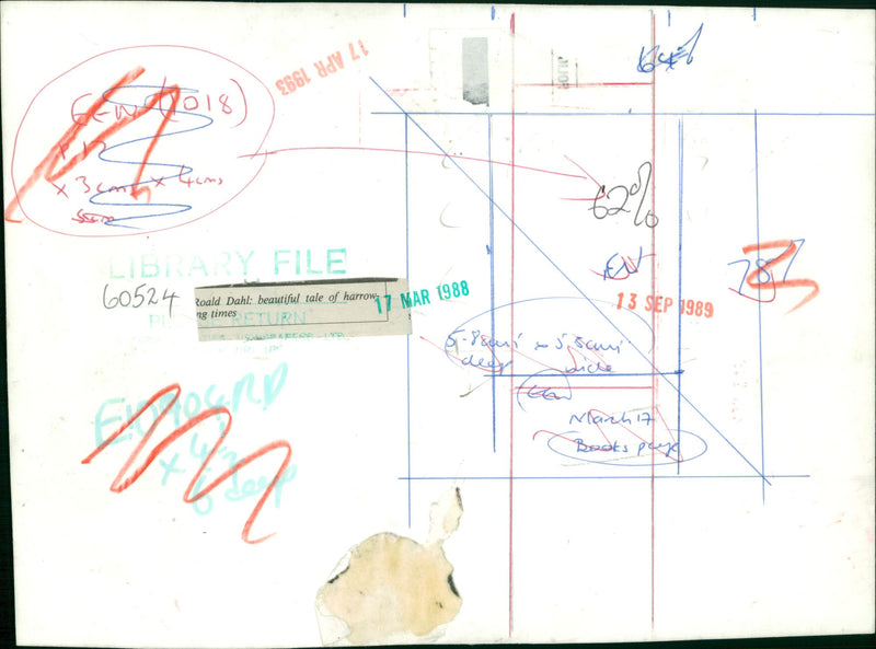 Roald Dahl. - Vintage Photograph