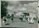 Roydon - Vintage Photograph