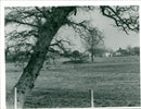 Rushmere scene across the water meadow. - Vintage Photograph