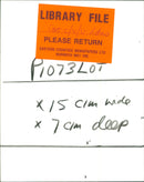 Cars - Vintage Photograph