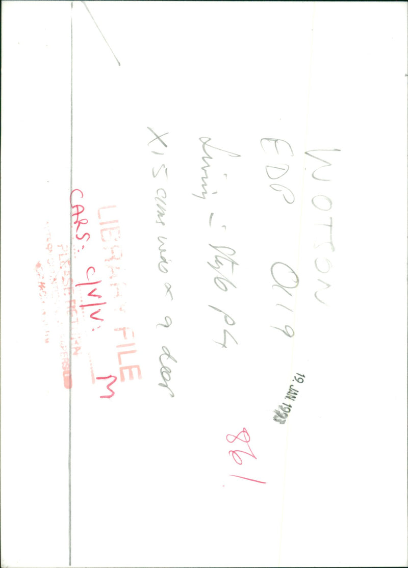 Cars - Vintage Photograph