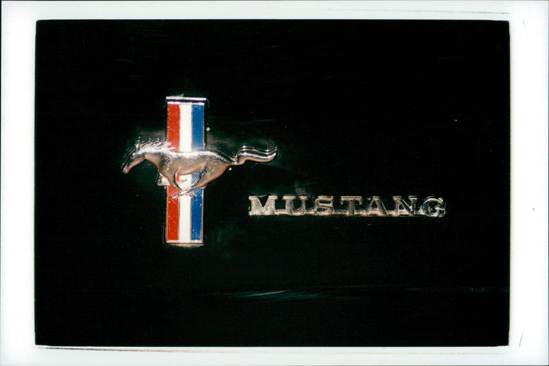 Cars - Vintage Photograph