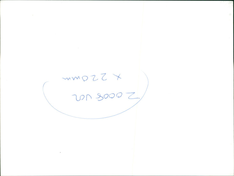 Cars - Vintage Photograph