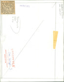 Mr. S. A. Mergerum with Mr. Donald MacLennan. - Vintage Photograph