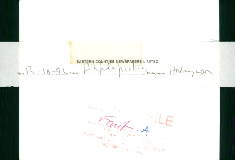 Apple picking. - Vintage Photograph