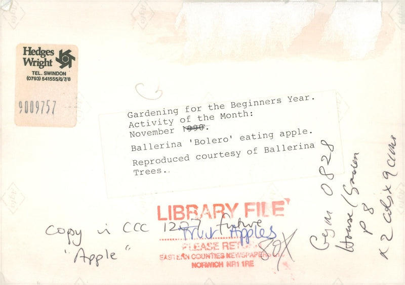 Ballerina "Bolero" eating apple. - Vintage Photograph