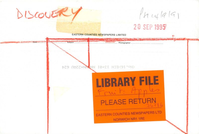 Apples. - Vintage Photograph