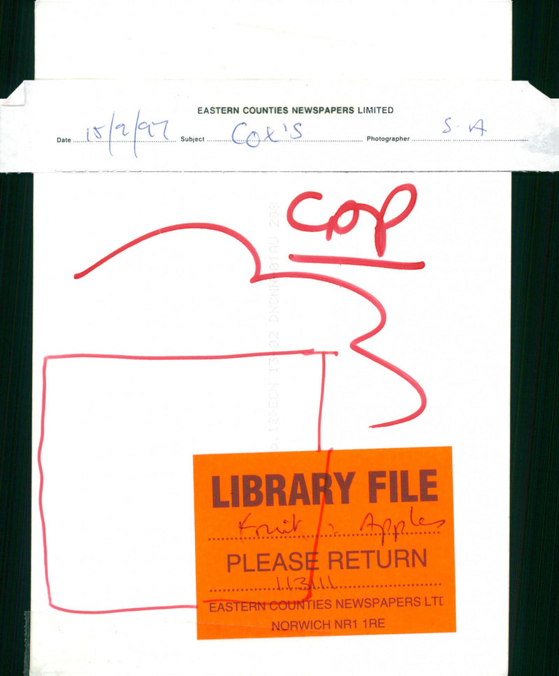 Apples. - Vintage Photograph