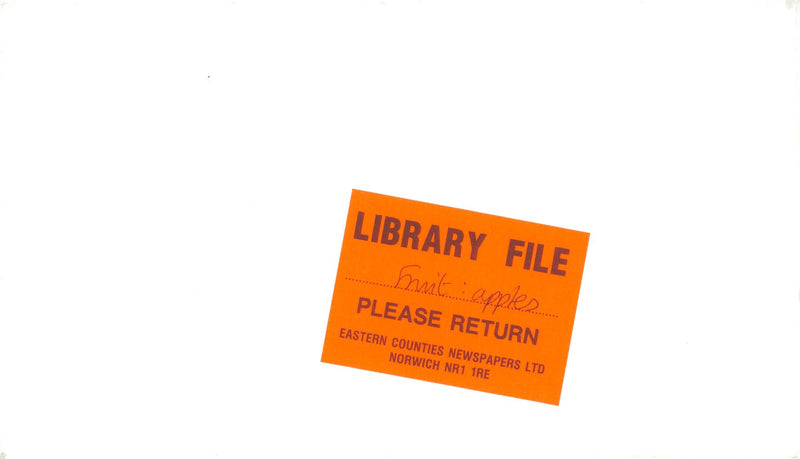 Apples. - Vintage Photograph