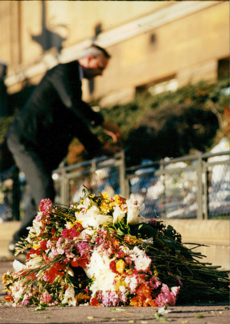 View of Princess Diana flowers. - Vintage Photograph